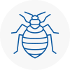 Bed Bug Extermination In Guisborough