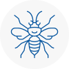 Guisborough Hornet Nest Removals