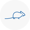 Mice Exterminators In Guisborough