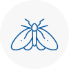 Moth Control Specialists In Guisborough