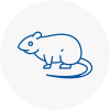 Rat Control Guisborough