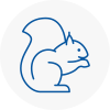 Guisborough Rodent Removals